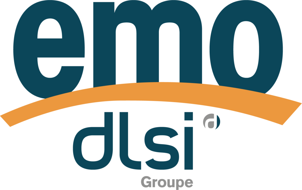 Activités et marques du Groupe DLSI